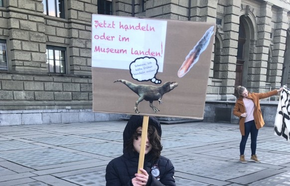 klimastreik zÃ¼rich 18.01.19 schÃ¼ler klima januar