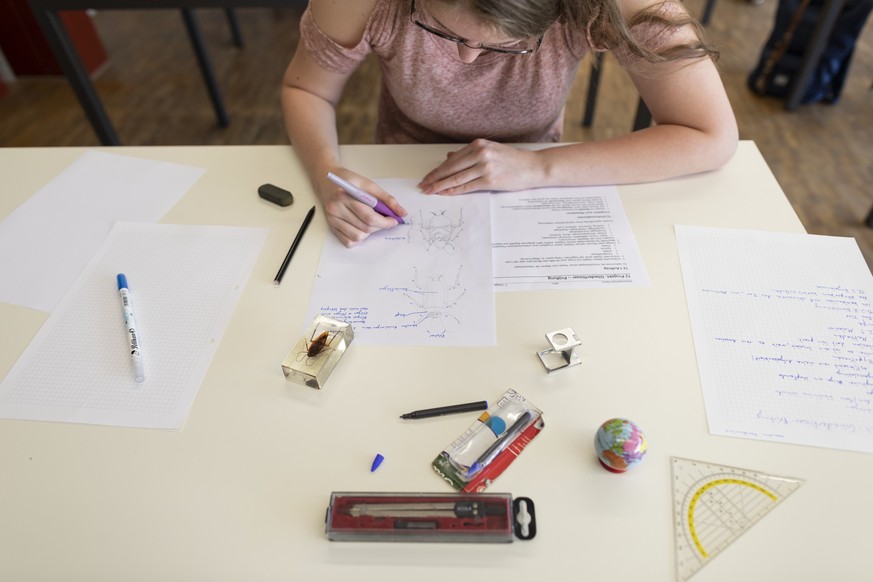 IM HINBLICK AUF DEN SCHULJAHRESBEGINN STELLEN WIR IHNEN FOLGENDES NEUES BILDMATERIAL VON MINT-FAECHERN AN GYMNASIALEN MATURITAETSCHULEN ZUR VERFUEGUNG --- A pupil of the class 2A pictured taking an ex ...