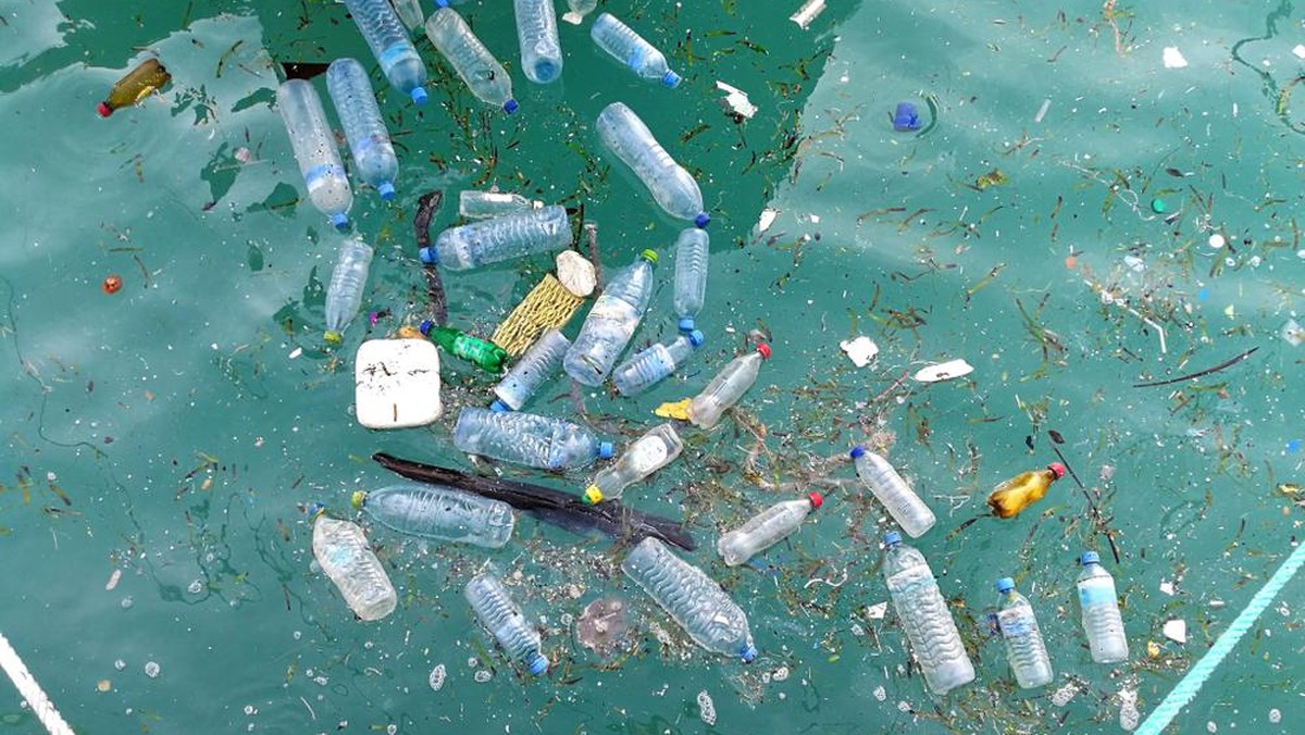 Plastikmüll, PET-Flaschen, Plastikflaschen (Symbolbild)