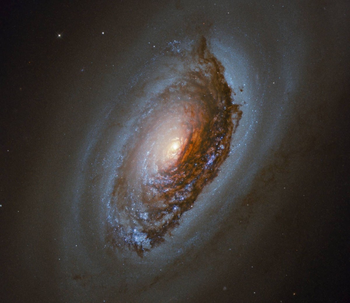 This NASA/ESA Hubble Space Telescope Picture of the Week features NGC4826 — a spiral galaxy located 17 million light-years away in the constellation of Coma Berenices (Berenice’s Hair). This galaxy is ...
