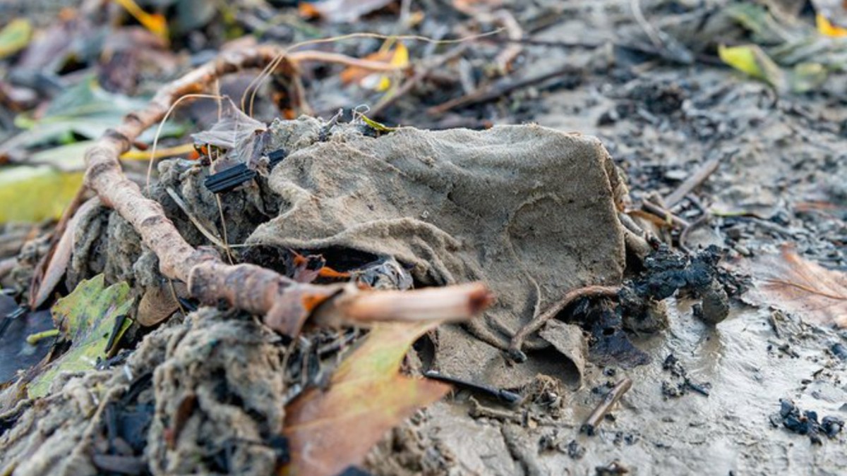 «Wet Wipe Island»: Londons Ekel-Insel geht es an den Kragen