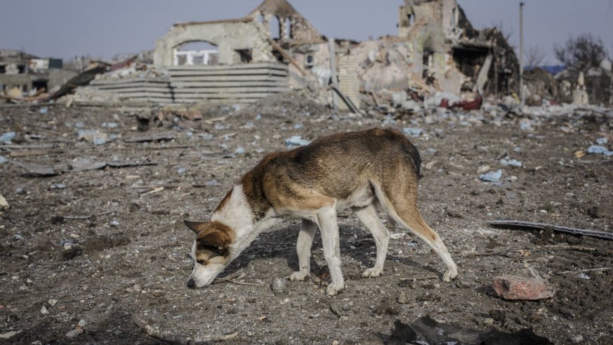 In Bachmut there is hardly anything left for the Russian troops, Putin wants to ban words en masse