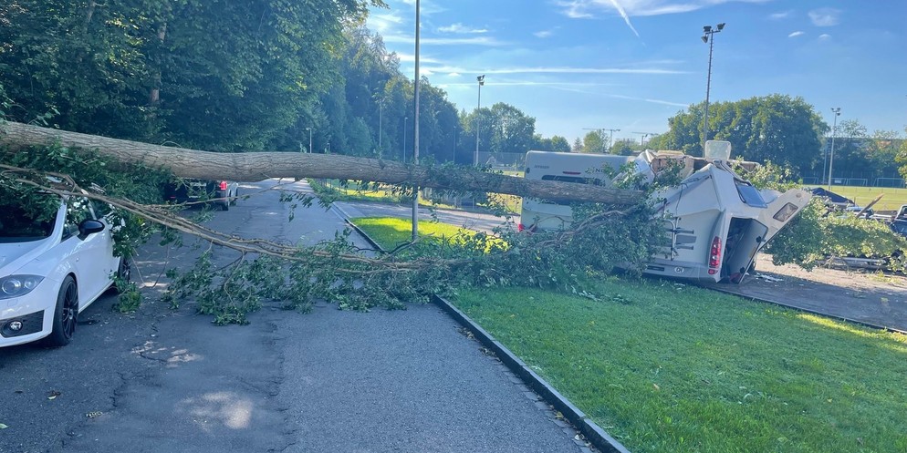 Am Mittwochabend ist an der Brauereistrasse in Uster ein Baum auf mehrere Fahrzeuge gefallen. Der Grund ist nicht bekannt. Die Polizei hat die Strasse vorsorglich abgesperrt.