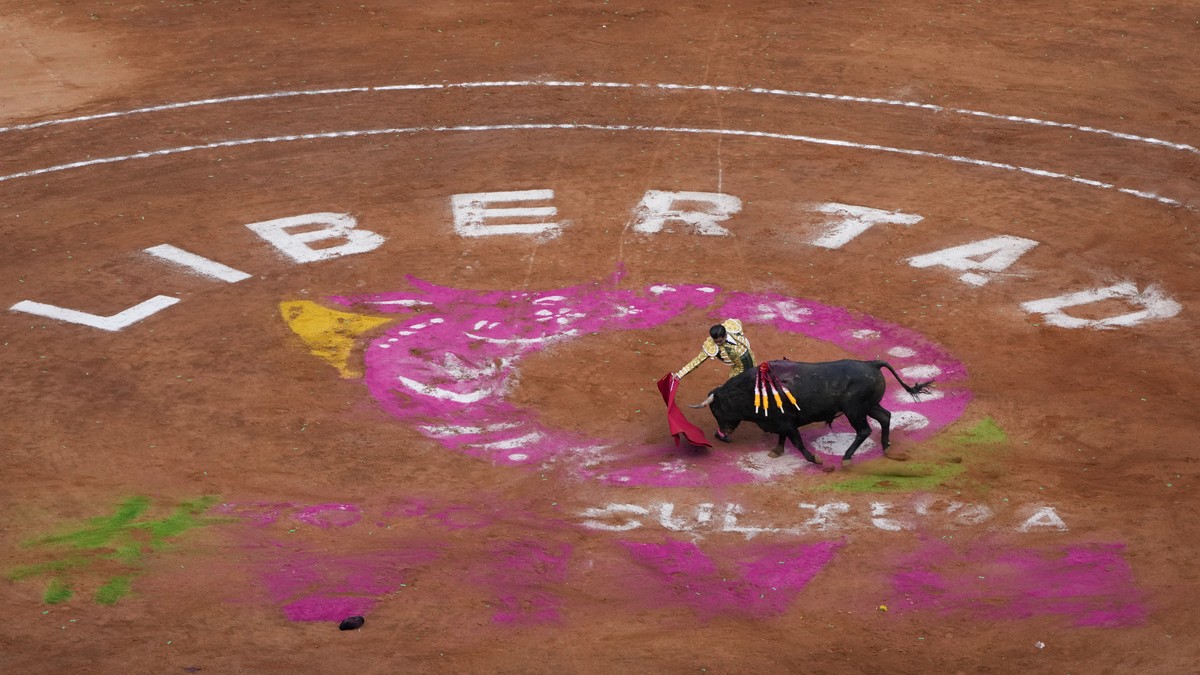 In Mexico the bullfights have only just started – a few days ago.  Separated and sold at birth, they met through TikTok