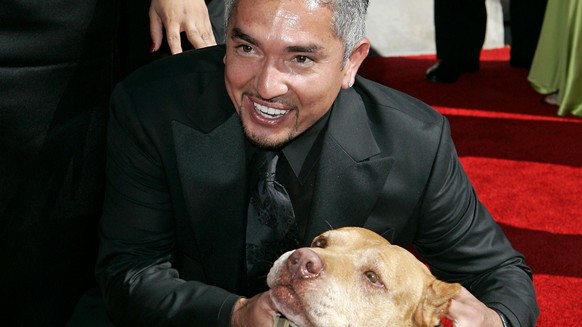 FILE - This Aug. 19, 2006 file photo shows television personality and dog psychologist Cesar Milan arrives for the Creative Arts Emmy Awards in Los Angeles. An online complaint of animal cruelty led a ...