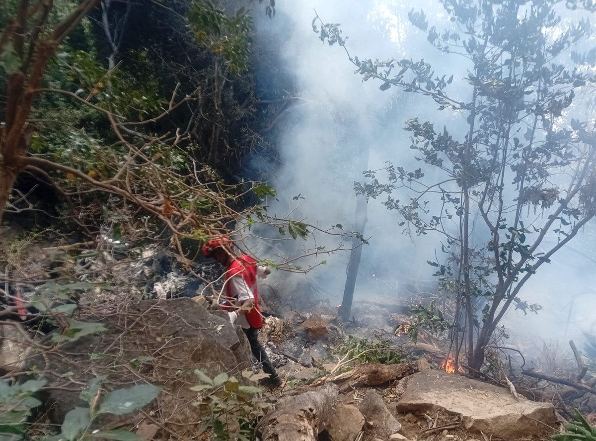 epa13179240 A handout photo made available by the Kenya Red Cross shows a member of the Kenya Red Cross emergency response team operating near the site of a helicopter crash in Samburu County, Kenya,  ...
