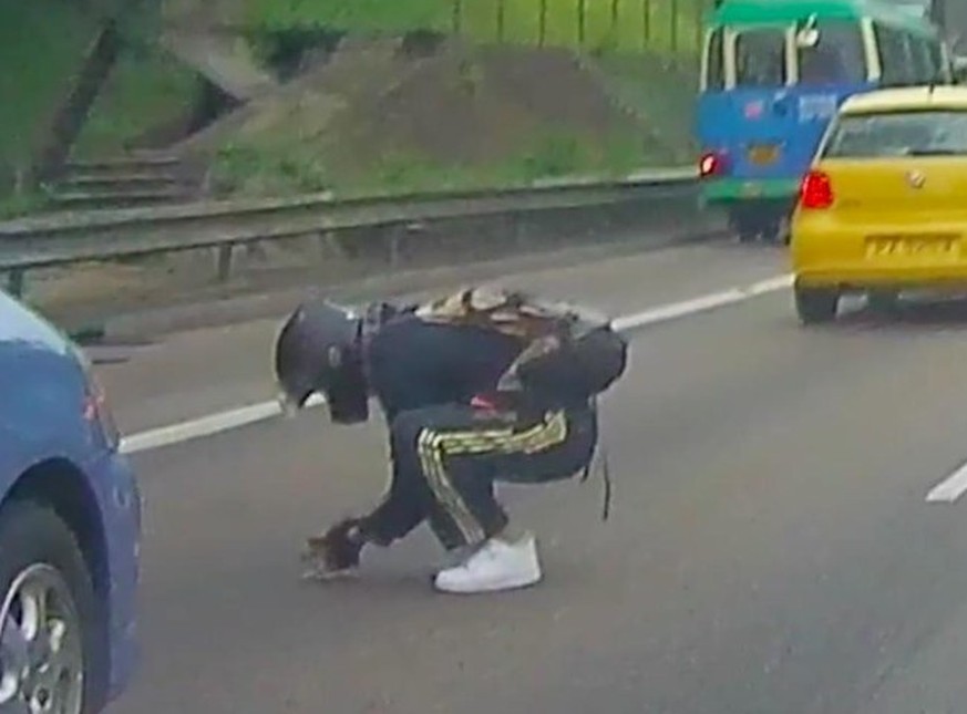 Halt Stopp! Dieser Mann hat ein Kätzchen vor dem rasenden Verkehr gerettet 😻 