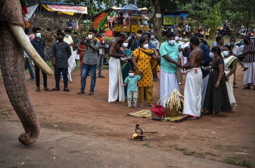 A child wearing a face mask as a precaution against the coronavirus looks at an elephant during Onam festival at the Vamana Hindu temple in Kochi, Kerala state, India, Friday, Aug.20, 2021. (AP Photo/ ...