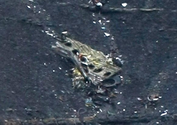 Debris of the crashed Germanwings passenger jet is scattered on the mountain side near Seyne les Alpes, French Alps, Tuesday, March 24, 2015. The Germanwings passenger jet carrying at least 150 people ...