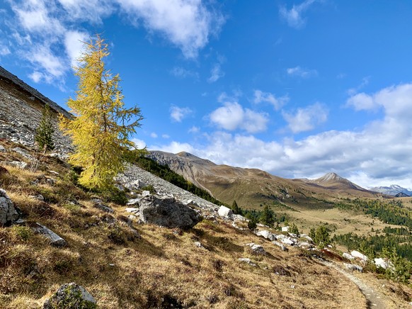 Die Sonne kommt! Deshalb hier die wundervolle watson-Wander-Sammlung
Gestern beim Ofenpass.. ð