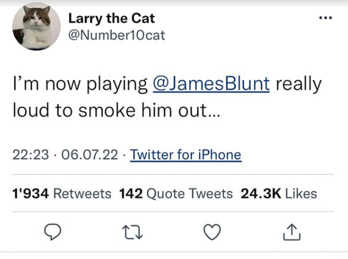 larry the cat james blunt boris johnson
