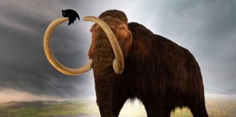 Ich habe Mastodon probiert – und es hat mein Online-Leben verändert