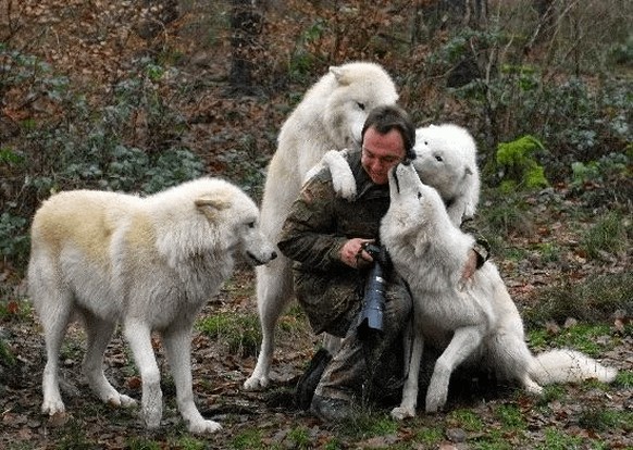 cute news tier fotograf

https://www.reddit.com/r/FunnyAnimals/comments/1h5sw40/animals_disturbing_photographers/