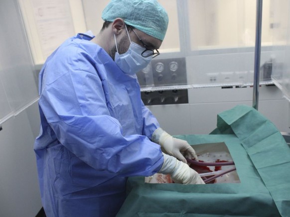 Ein Chirurg schliesst eine Leber an die neue Perfusionsmaschine an, die sie eine Woche am Leben erhalten kann.
