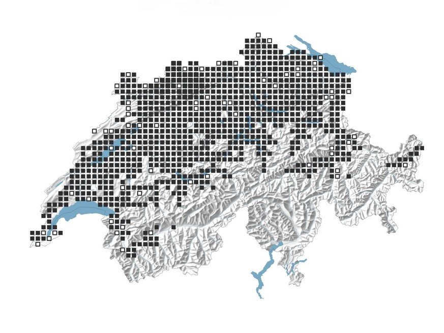 Distribution of the sand lizard