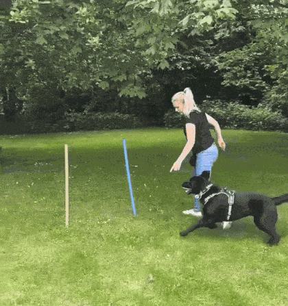 Animiertes GIF