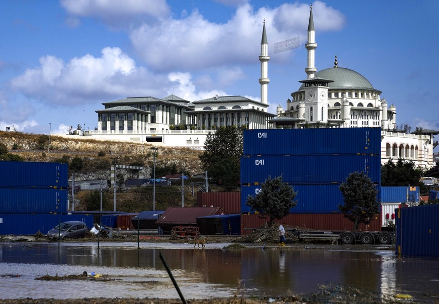 A man and a dog walk next to scattered containers near a train station on the aftermath of floods caused by heavy rains in Istanbul, Turkey, Wednesday, Sept. 6, 2023. Fierce rainstorms battered neighb ...