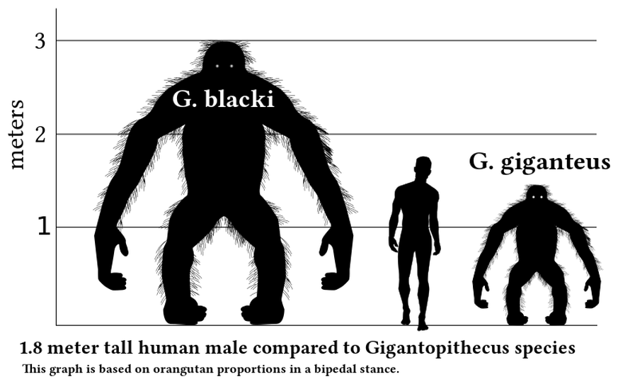 Gigantopithecus