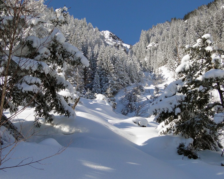 Rauszeit kurze Winterwanderungen Schweiz Arnisee 518