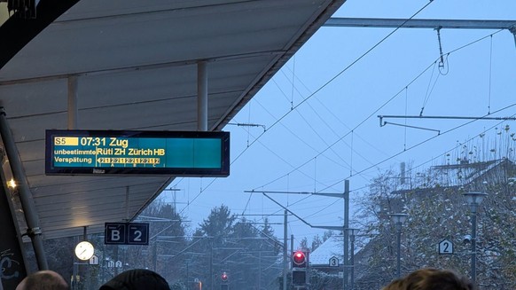 Der Unterbruch bei Ziegelbrücke am 21. November 2025 hat Auswirkungen auf den Bahnverkehr in der Region, so auch in Rapperswil.