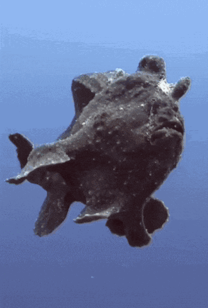 Animiertes GIF