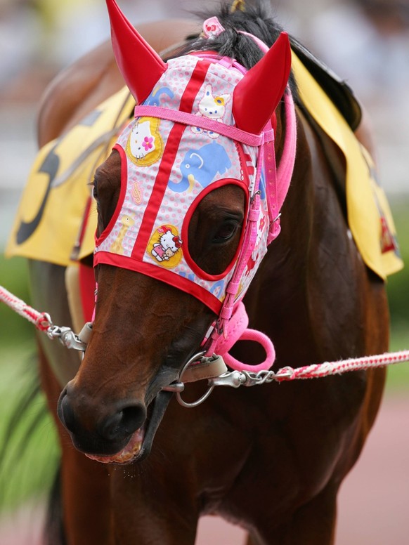 IMAGO / AFLOSPORT

Haruurara ist in Japan trotz seiner Erfolglosigskeit sehr beliebt - PUBLICATIONxINxGERxSUIxAUTxHUNxONLY (200509091845532) Pferdesport Herren Galopp 2004, Reiten, Reitsport, Pferdere ...