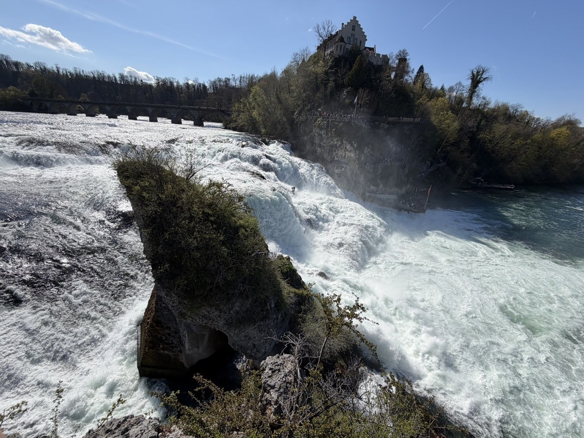 Rheinfall vom Felsen aus