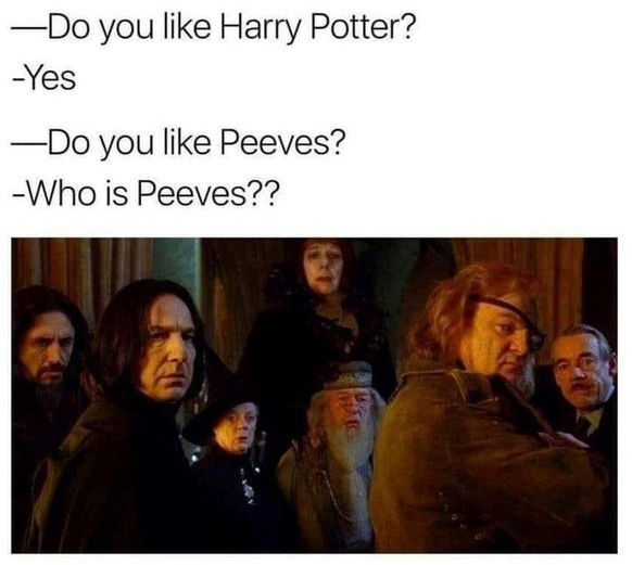 Harry Potter - The best memes about the film series
