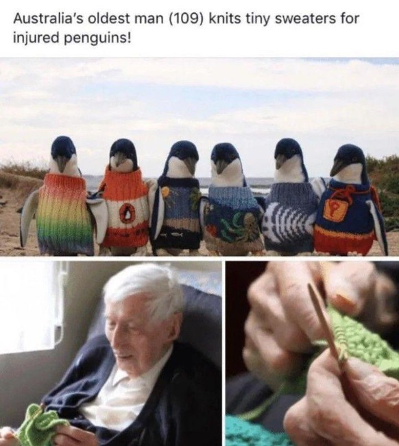 <i>«Australiens ältester Mann (109) strickt Pullöverli für verletzte Pinguine.»</i>