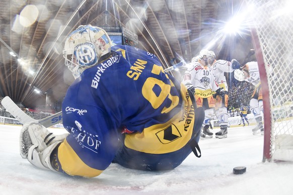 Die Zuger um 2-2 Torschuetze Sandro Zangger, rechts, bejubeln dessen Tor gegen Goalie Gilles Senn von Davos, beim vierten Playoff-Halbfinalspiel der National League A zwischen dem HC Davos und EV Zug, ...