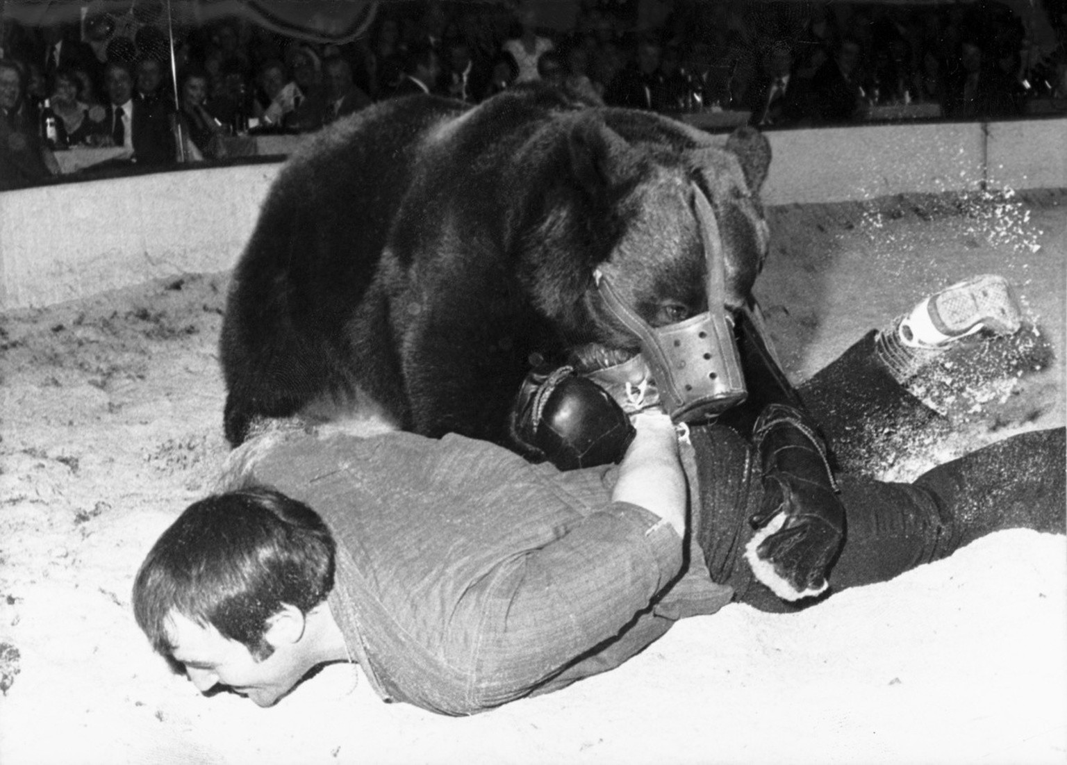 Der ehemalige Schwingerkoenig Rudolf Hunsperger kaempft bei einer Showeinlage anlaesslich der &quot;Nacht des Schweizer Sports&quot; waehrend des Sechstagerennens im Hallenstadion in Zuerich mit der B ...