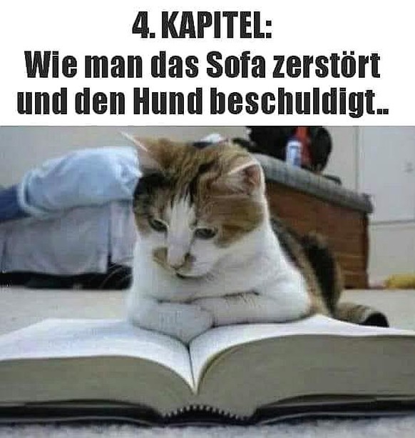 Hat hier jemand lustige Tierbilder gesagt?
Manchmal frage ich mich, wo meine Katze ist. Dann find ich sie im Nebenzimmer in ein Buch vertieft. Letzthin hab ich das Buch gefunden...