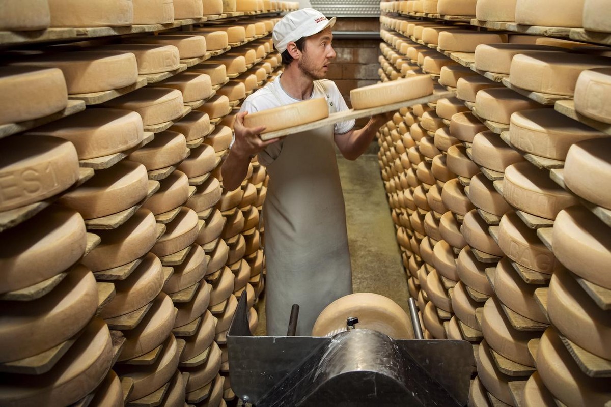 Le fromager Marc Dubosson, affine le fromage a Raclette "Bagnes 1" dans la cave de la fromagerie "La Laiterie de Verbier" pendant la crise du Coronavirus (Covid-19) le mardi 12 mai ...