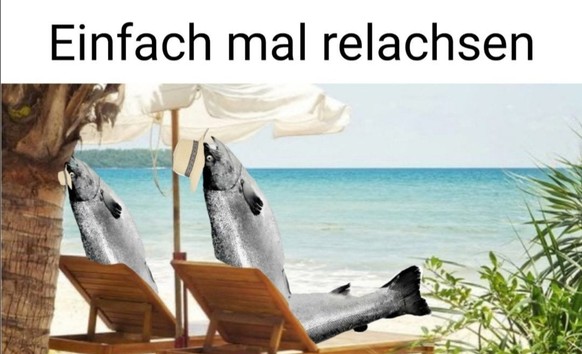 Du kannst aufhÃ¶ren zu suchen, hier bin ich: PICDUMP! ð°
Wortapiele mit Fischen finde ich die Aalerbesten