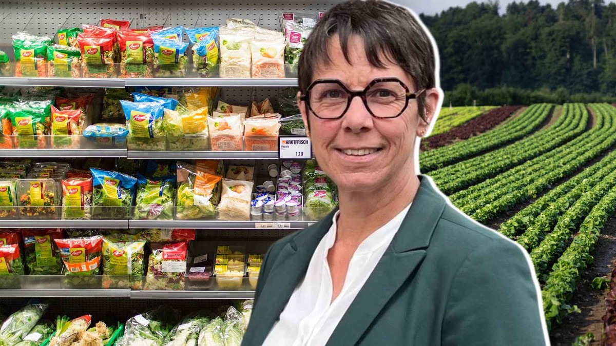 Billigpreise-und-der-zerst-rerische-Ern-hrungskreislauf