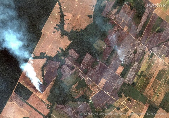AI can detect patterns in large amounts of data, such as environmental degradation in rainforests.