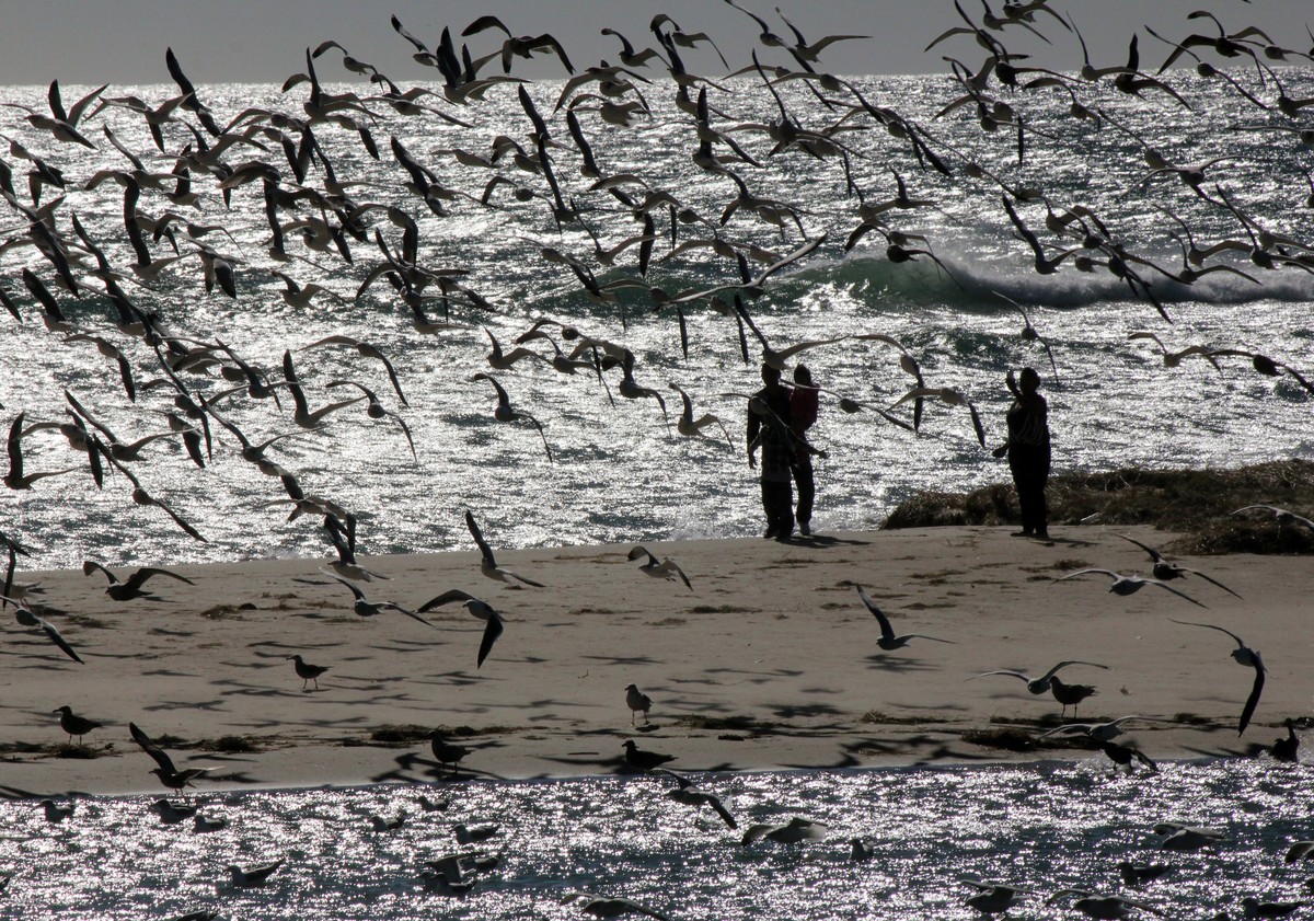 Strand in Malibu, Kalifornien.
