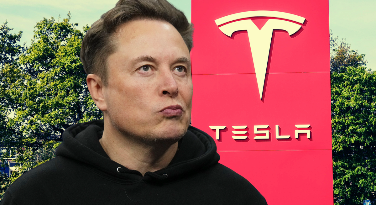 Elon Musk et Tesla veulent fournir de l'électricité aux Britanniques