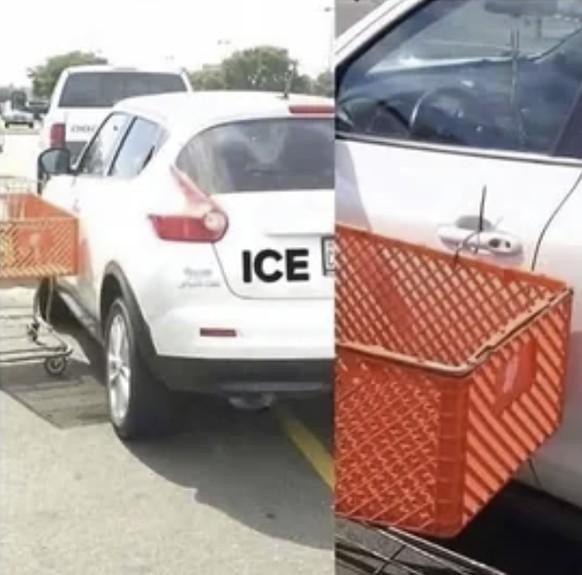 Gittertiere auf Reddit: Lustige Einkaufswagen/Einkaufswägelchen