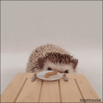 Animiertes GIF