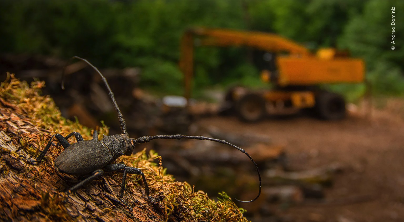 Young Wildlife Photographer of the Year 2025
