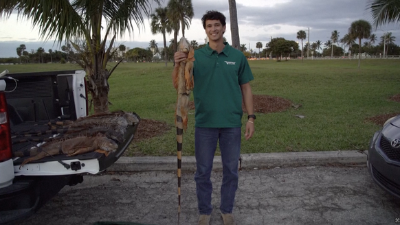 Ethan Cotto, Vizepräsident von IggyTrap, einem Schädlingsbekämpfungsunternehmen, das Grüne Leguane in Florida jagt. 3. Februar 2026.