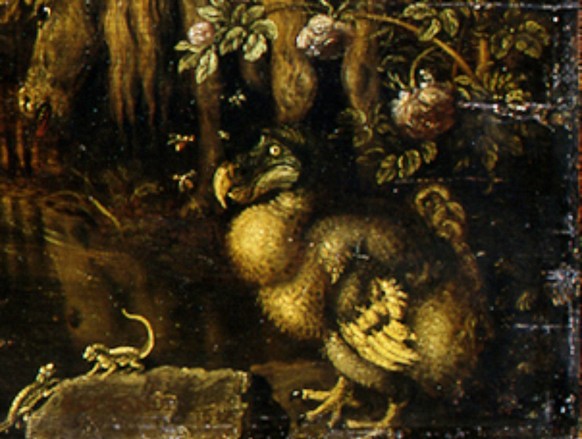 Ein Dodo, Ausschnitt aus Saverys Gemälde Das Paradies.
https://smb.museum-digital.de/object/61706