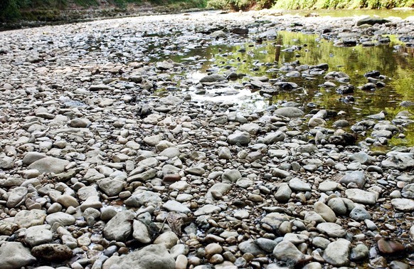 Die Ergolz in der Naehe von Frenkendorf hat am Mittwoch, 23. Juli 2003, einen so tiefen Wasserstnd wie schon kaum einmal. Obwohl es in den letzten Tagen einige gewitterbedingte Niederschlaege gab, ist ...