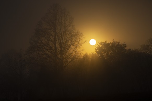 Die Sonne scheint durch den Nebel, am Dienstag, 24. November 2020, in Gerzensee. (KEYSTONE/Peter Schneider)