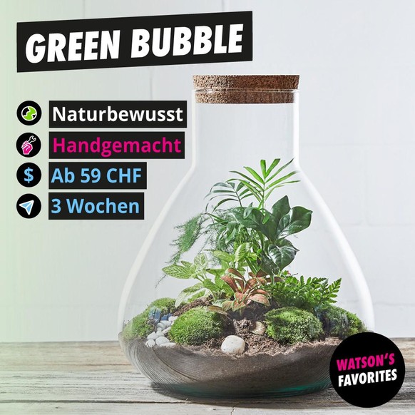 Ein DIY-Flaschengarten von Green Bubble