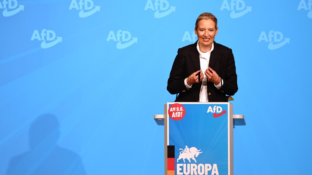 Überwachungsbehörde nimmt EU-Partei der AfD ins Visier