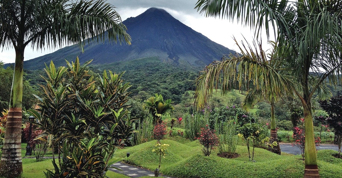Was ist grün, heiss und absolut ungezähmt?