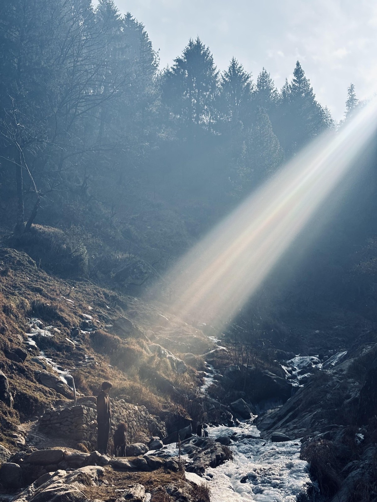 God Ray 
accidental renaissance
https://www.reddit.com/r/SoloTravel_India/comments/1r5z1o7/god_ray/