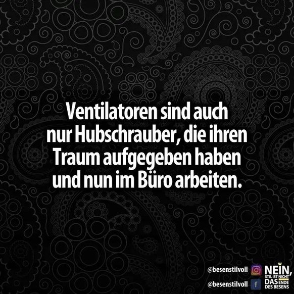 Picdump #11 вЂ“ Nicht nur Memes, sondern Memes mit Гњbersetzungen! рџҐі\nOoowwww... рџҐє